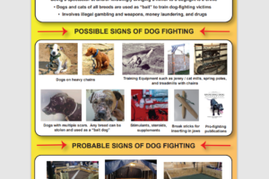 Help End Dog Fighting