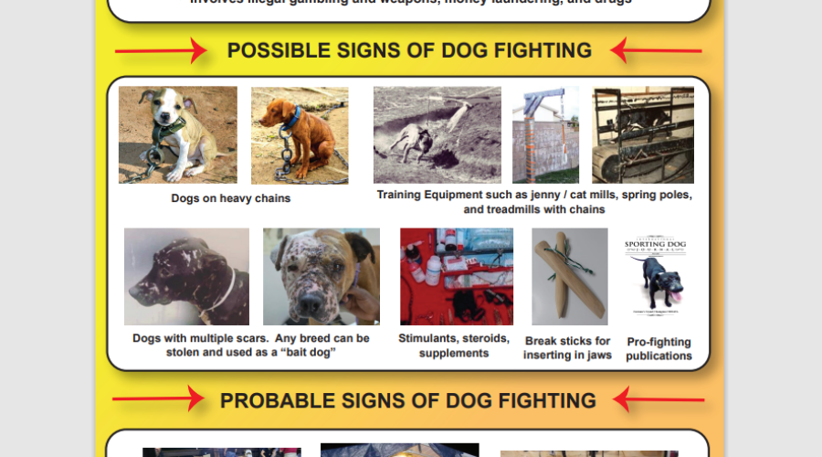 Help End Dog Fighting