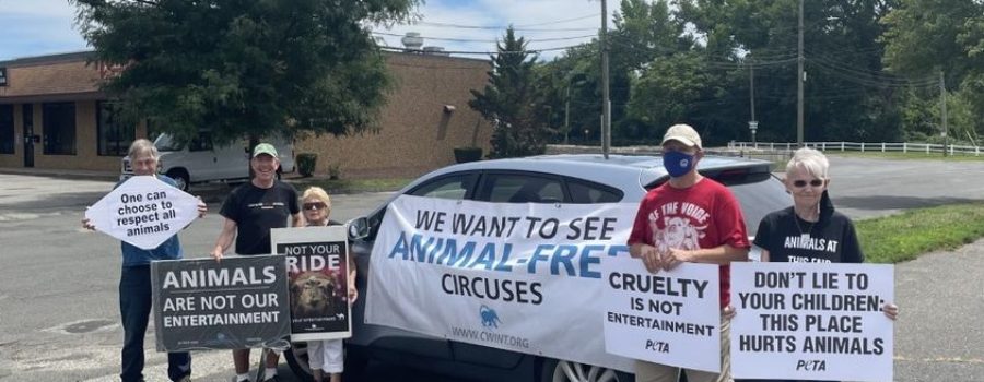 Circus Protest